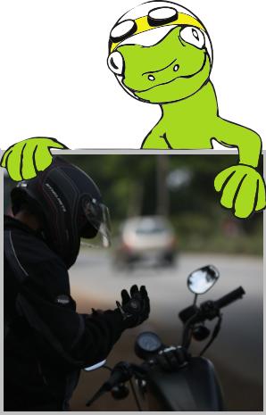 Gecko clutch avatar