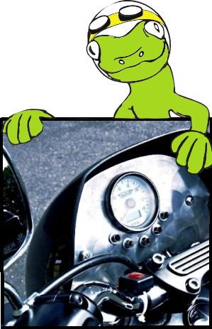 Gecko clutch avatar